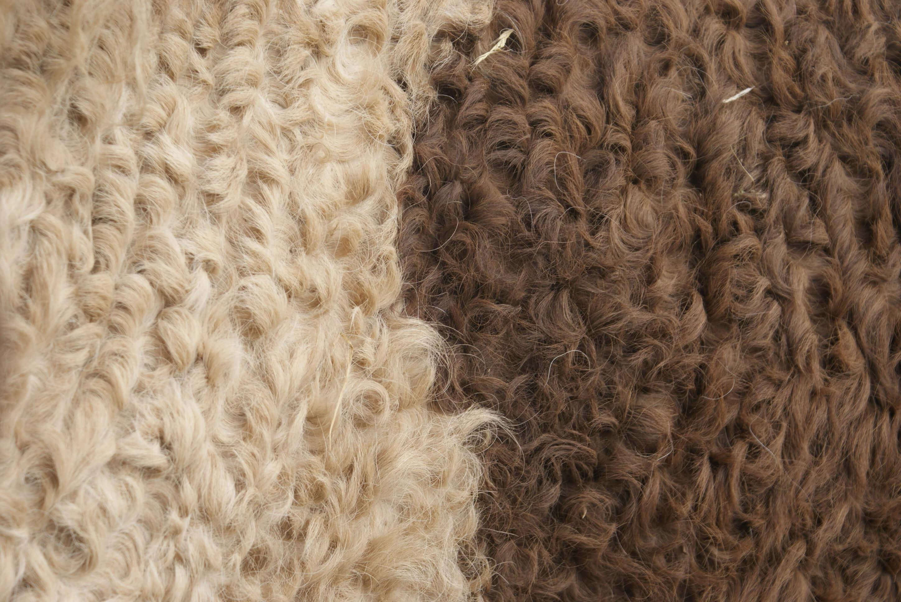 Curly vachttextuur close-up