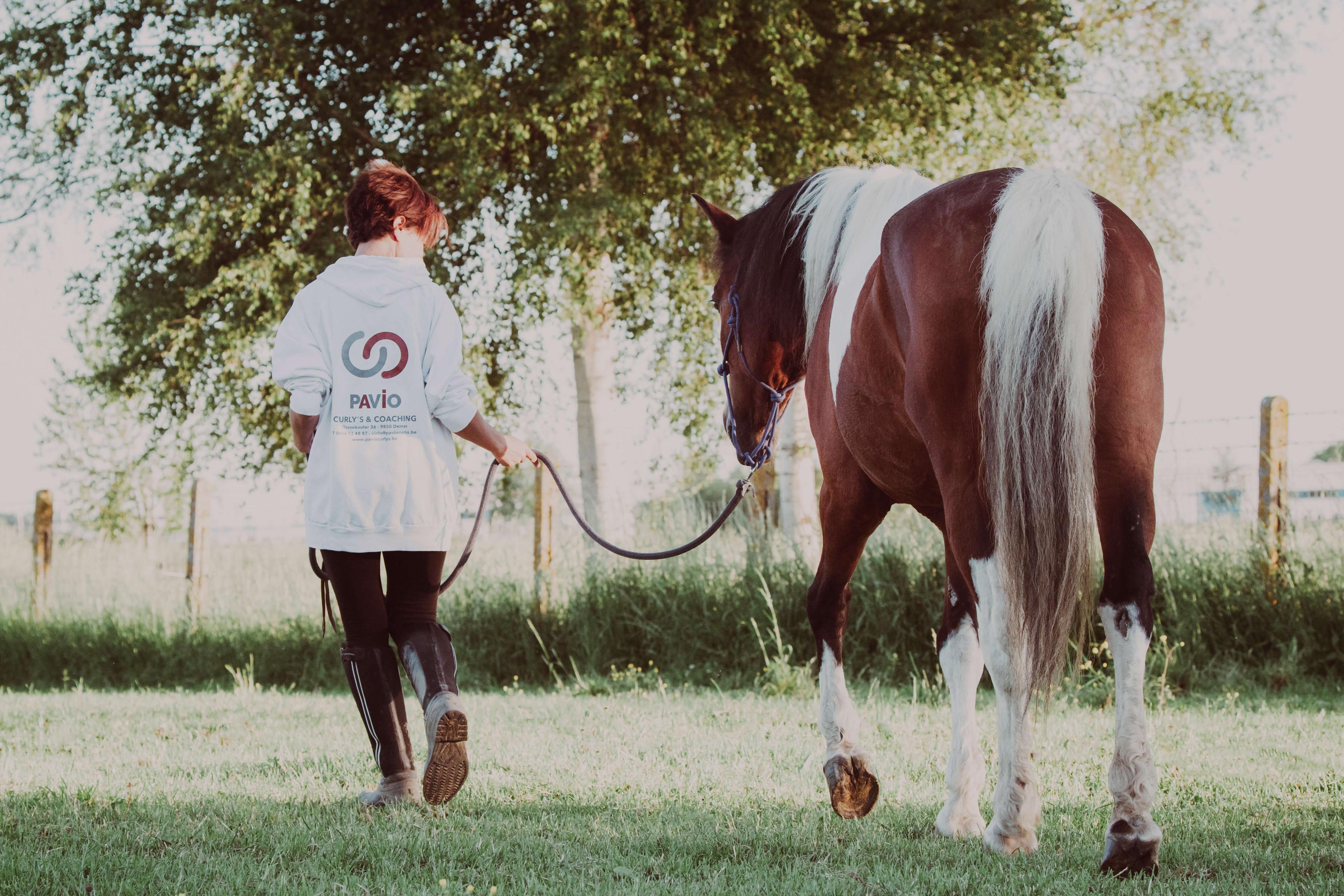 Wandelen met een paard door de natuur