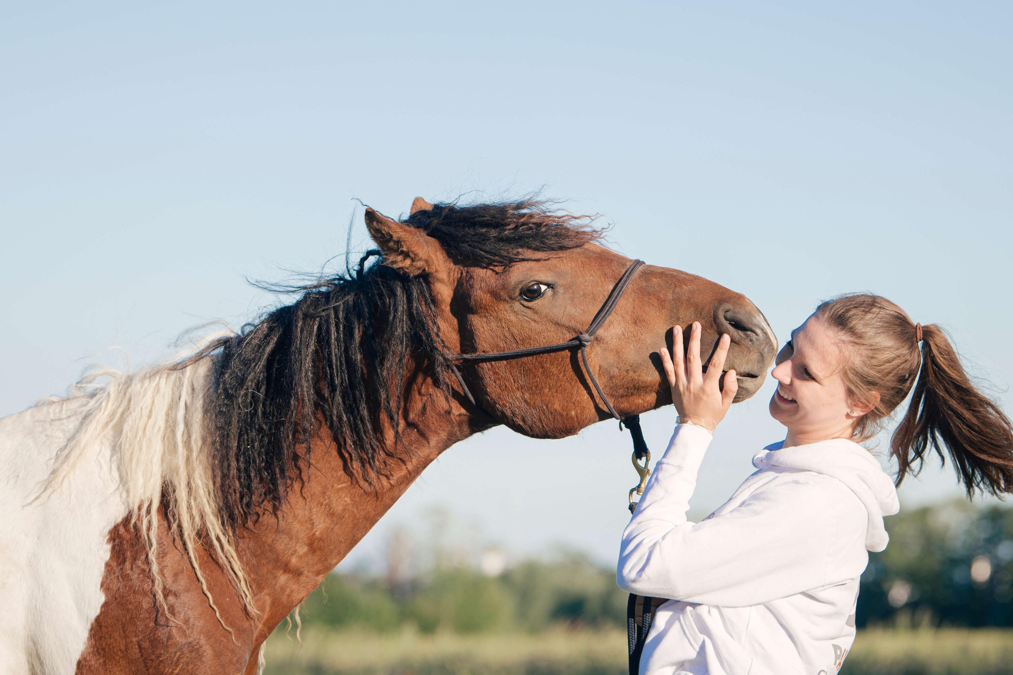 Vrouw raakt paard zachtjes aan op de zorgboerderij